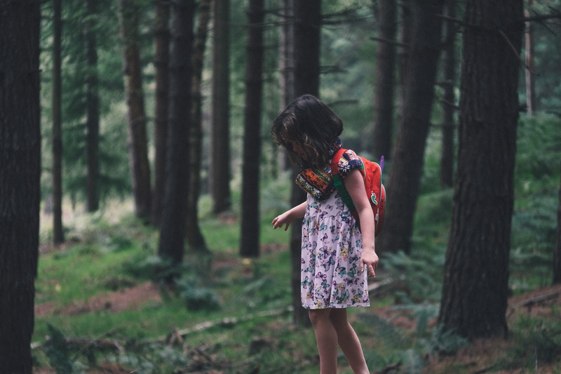 cute, focus on foreground, trees, standing, kid, real people, plant, leisure activity, hairstyle, day, nature, child, tree trunk, woodland, girl, trunk