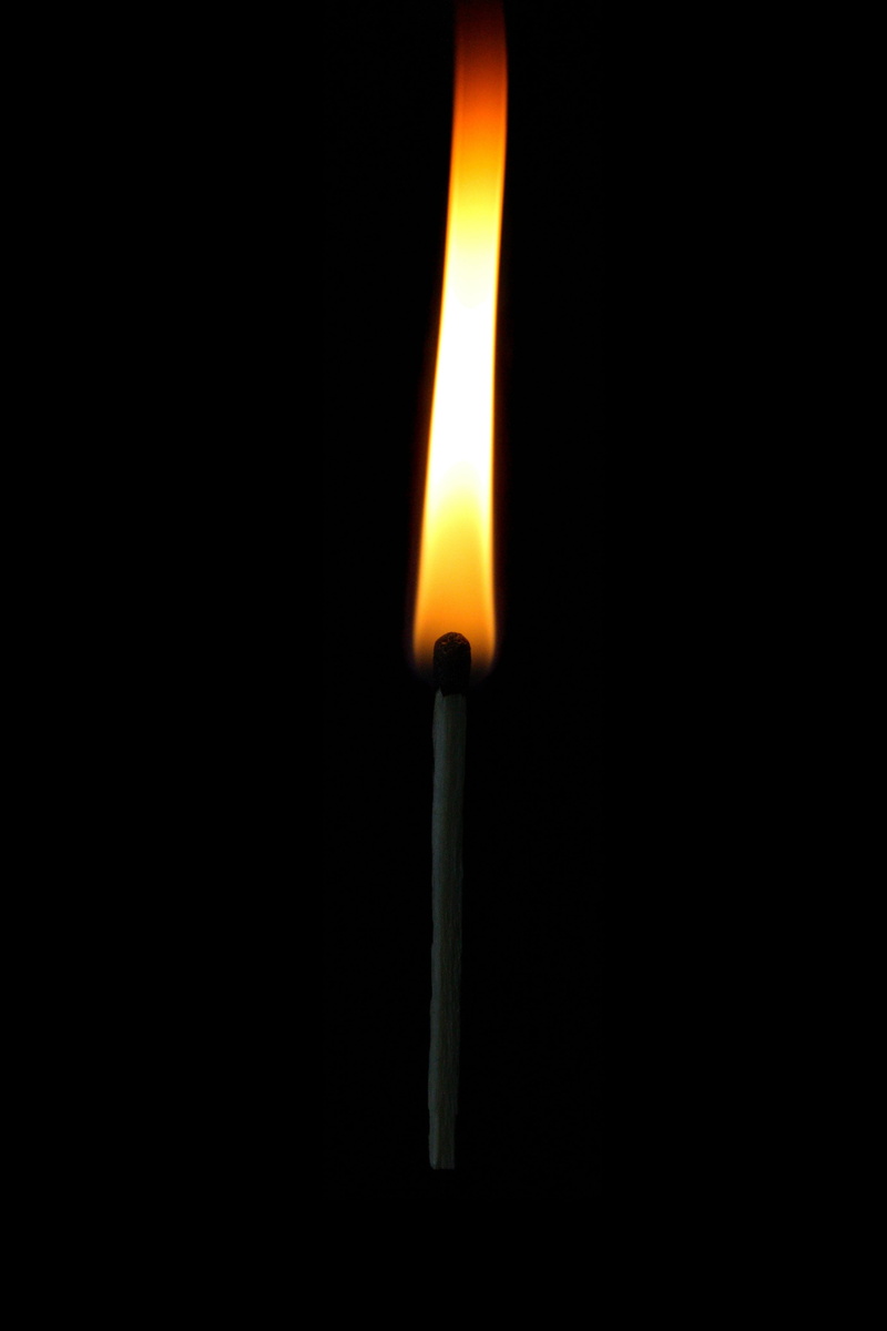 heat - Temperature, burn, studio shot, match - lighting equipment, burns, matchstick, fresh, nature, sulfur, sticks, fire - Natural Phenomenon, 4K, black Color