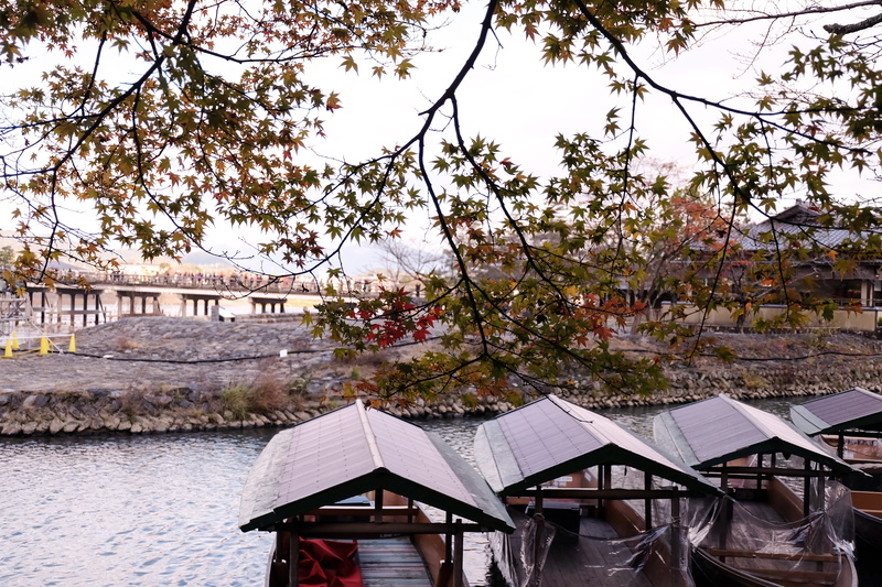 building, building exterior, japanese, beauty in nature, table, no people, growth, sky, warm, architecture, boats, east asia, 4K, kyoto, branch, travel