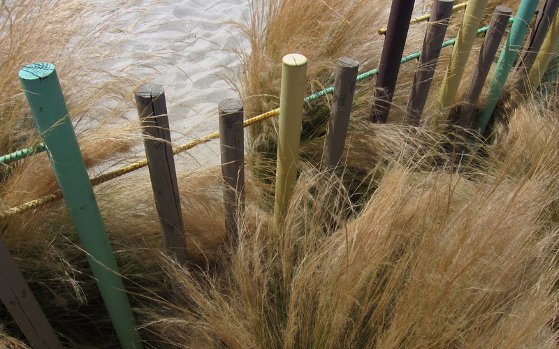barrier, day, sand, security, 2K, agriculture, outdoors, timothy grass, land, close-up, protection, grass, no people, safety, boundary, nature, beauty in nature