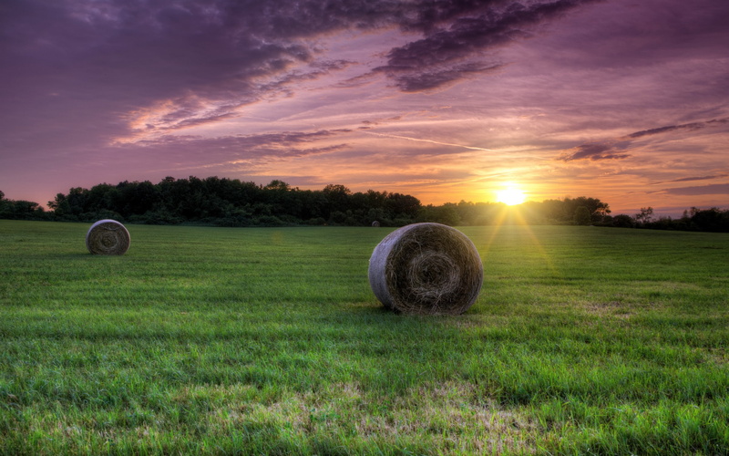grass, hay, field, tranquility, rural scene, agriculture, outdoors, scenics - nature, plant, nature, bale, environment, 2K, no people, sunset, sky, landscape