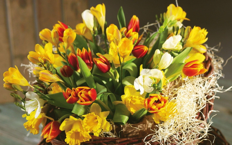 bouquet, 1920x1200, yellow, floral, flowers, tulip, red, 1080P, tulips