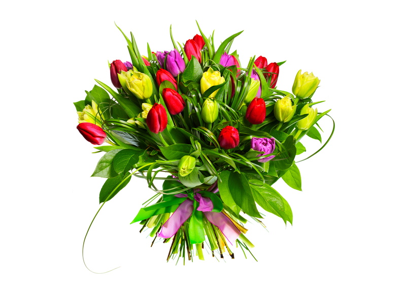 white background, inflorescence, bunch of flowers, vulnerability, beauty In Nature, flower Head, backgrounds, arrangement, wedding, indoors, plant, buds