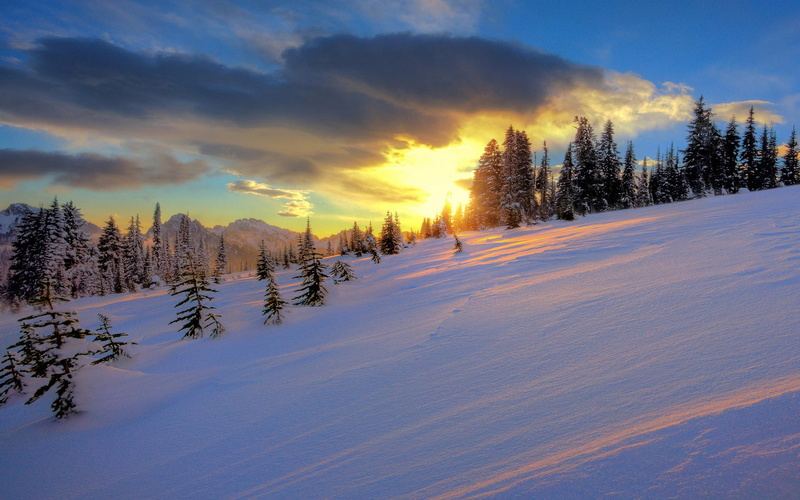 no people, cloud - sky, scenics - nature, landscape, sunset, snow, pine tree, coniferous tree, environment, covering, nature, non-urban scene, 1080P, trees