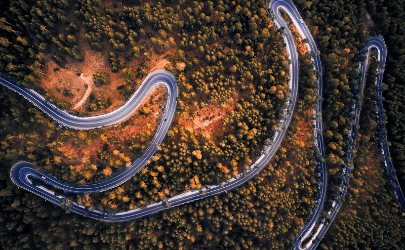 castilleandleon, curve, SanIldefonso, beauty in nature, sunlight, plant, 4K, autumn, land, Aerial, day, Road, bicycle, DronePhotography, Forest, mode of transportation