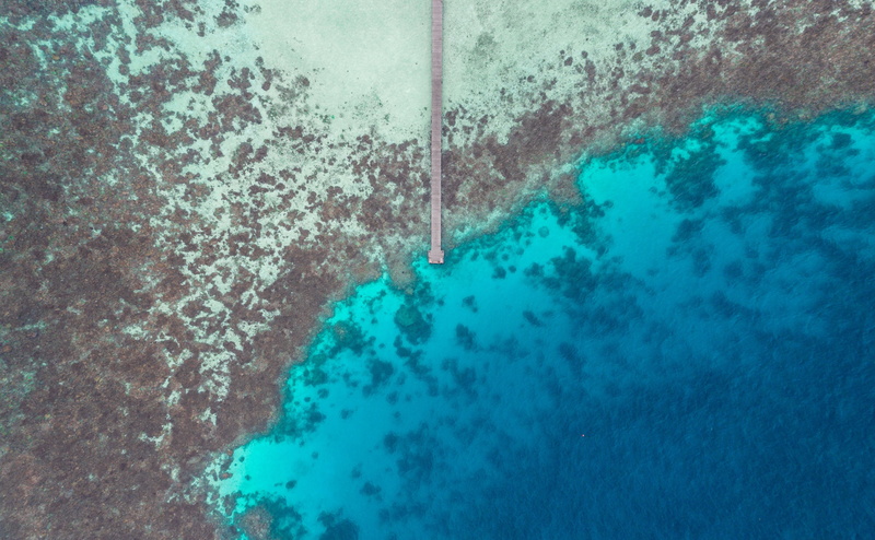 clearwater, Aerial, 4K, Vacation, Tropical, DronePhotography, Above, Maldives, Travel, photography, Islands, Paradise, island, View, Dock, Nature, water