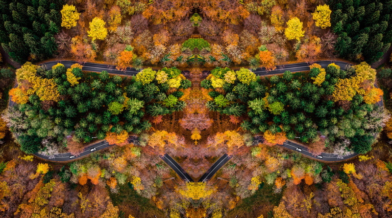 germany, Autumn, mavicair, 5K, dronepilot, roadrace, forest, Seasons, symetric, shot, drone, dronephotography