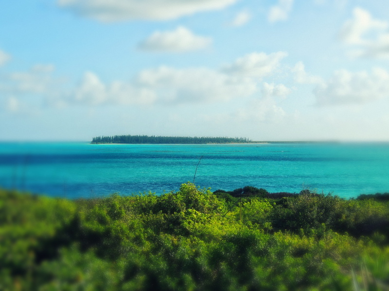 paradise, new caledonia, outdoors, turquoise colored, sky, land, growth, sea, beauty in nature, green color, ilot brosse, ocean, idyllic, nature, pines