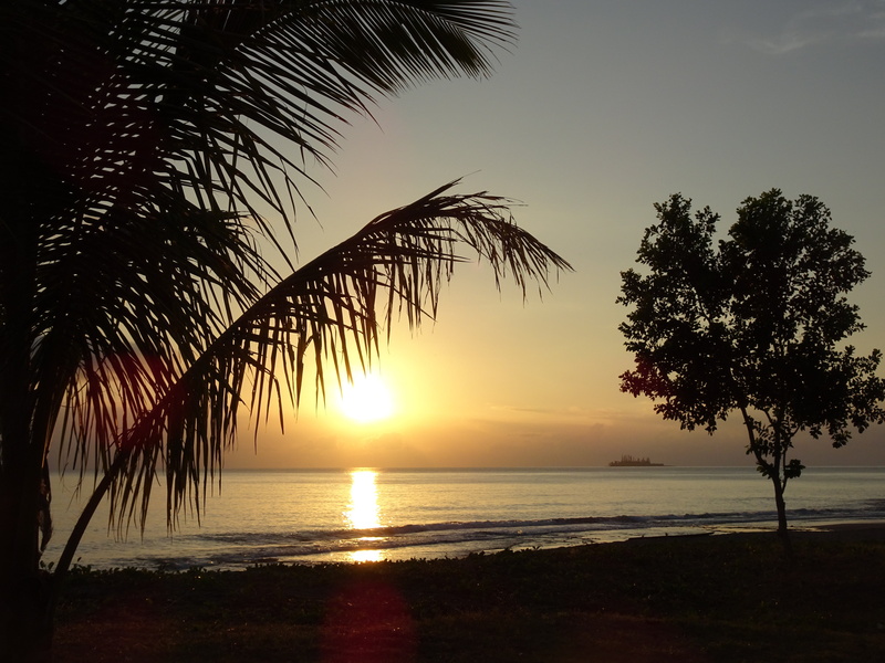 tropical climate, horizon over water, tropical tree, poindimie, nature, 4K, water, sky, scenics - nature, grande terre, sea, sunset, beauty in nature