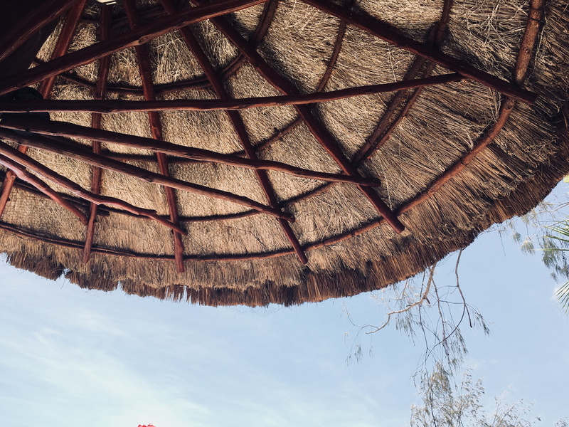 low angle view, directly below, security, day, sunlight, tree, sky, protection, plant, outdoors, built structure, parasol, no people, brown, nature, roof beam