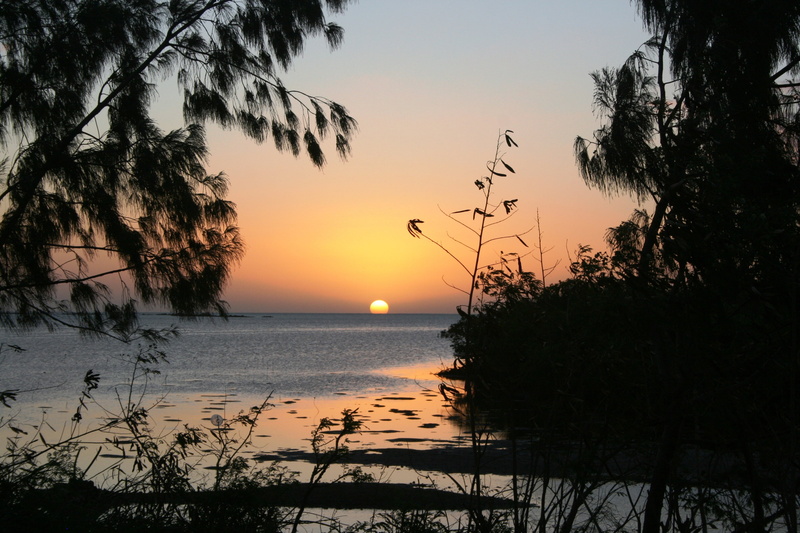 tree, sunset, scenics - nature, beauty in nature, relax, sun kisses water, new caledonia, outdoors, 4K, beach, travel, orange color, tranquil scene, sky