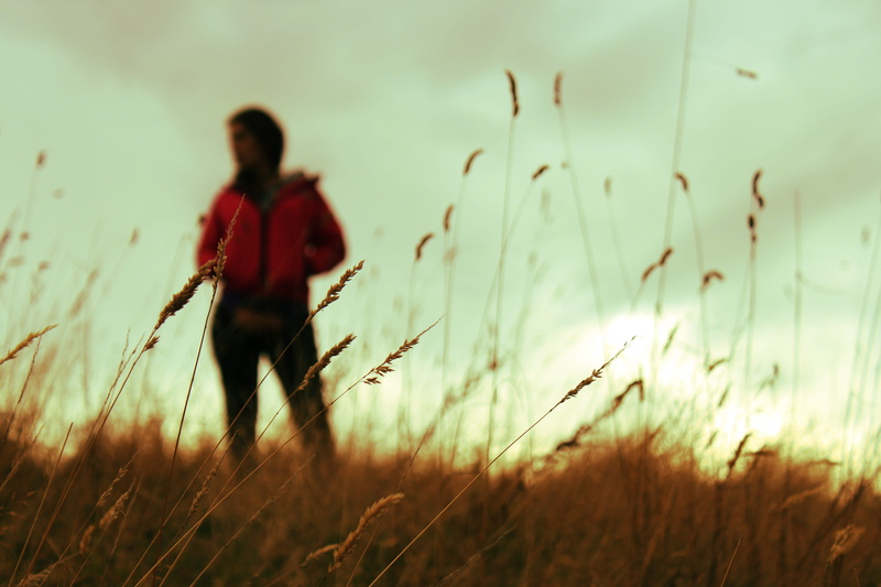 field, one person, silhouette, land, plant, 5K, rear view, sorround, day, beauty in nature, man, three quarter length, male, farm, leisure activity, standing