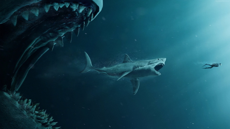 meg, 4K, poster, sharks, diver