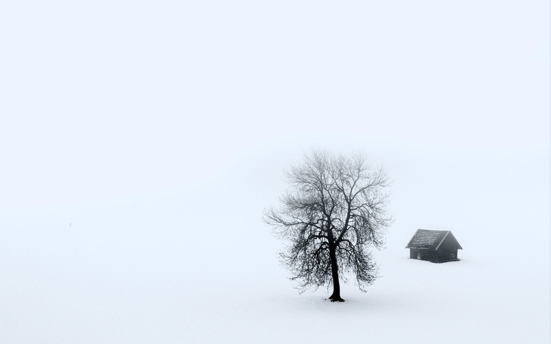 non-urban scene, environment, white, landscape, plant, tree, bare tree, 2K, snow, copy space, outdoors, frozen, sky, white background, branch, cold temperature
