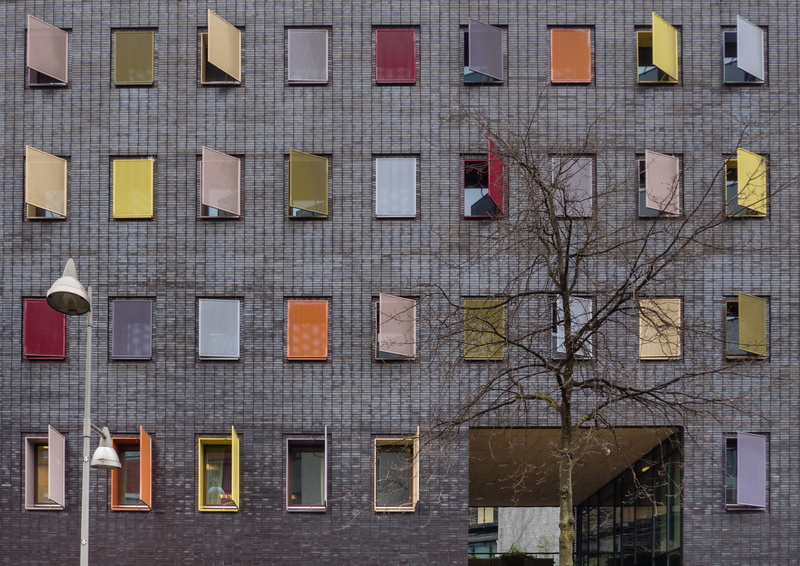 netherlands, wall, bare tree, apeldoorn, apartment, window, no people, facade, 2K, built structure, city, glass - material, homeless, gelderland, building exterior