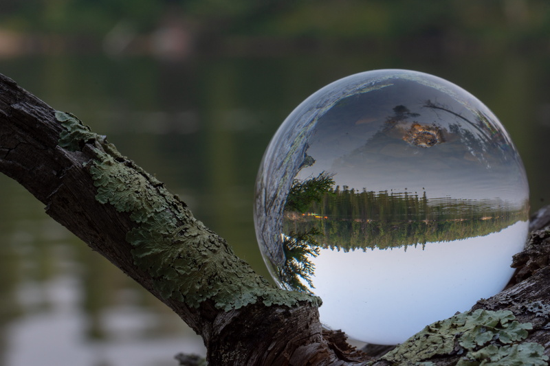 focus on foreground, trunk, outdoors, water, natural, tree, no people, day, lensball, sphere, circle, transparent, close-up, crystal ball, nature, 5K
