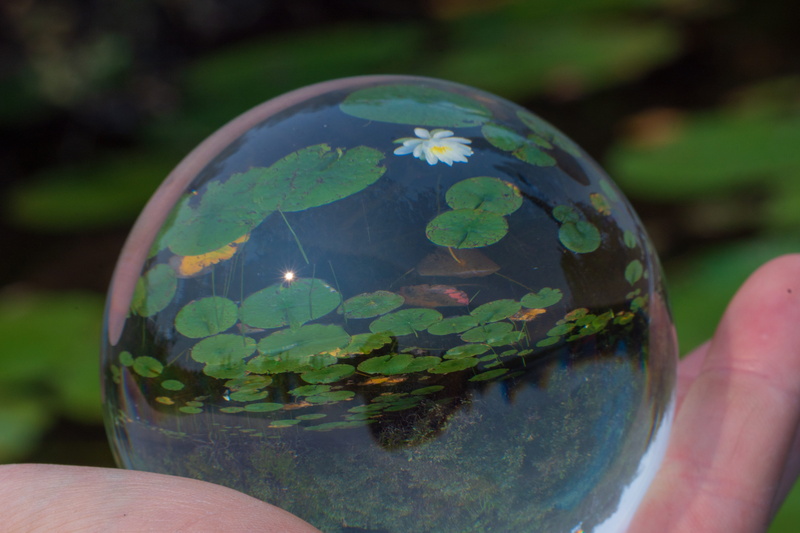 human body part, finger, transparent, human limb, human finger, personal perspective, hand, lensball, body part, holding, reflections, outdoors, real people