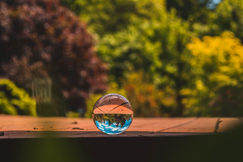 sphere, lensball, sun, sunlight, land, close-up, transparent, selective focus, lake oswego, reflection, day, no people, tree, outdoors, 5K, nature, glass - material