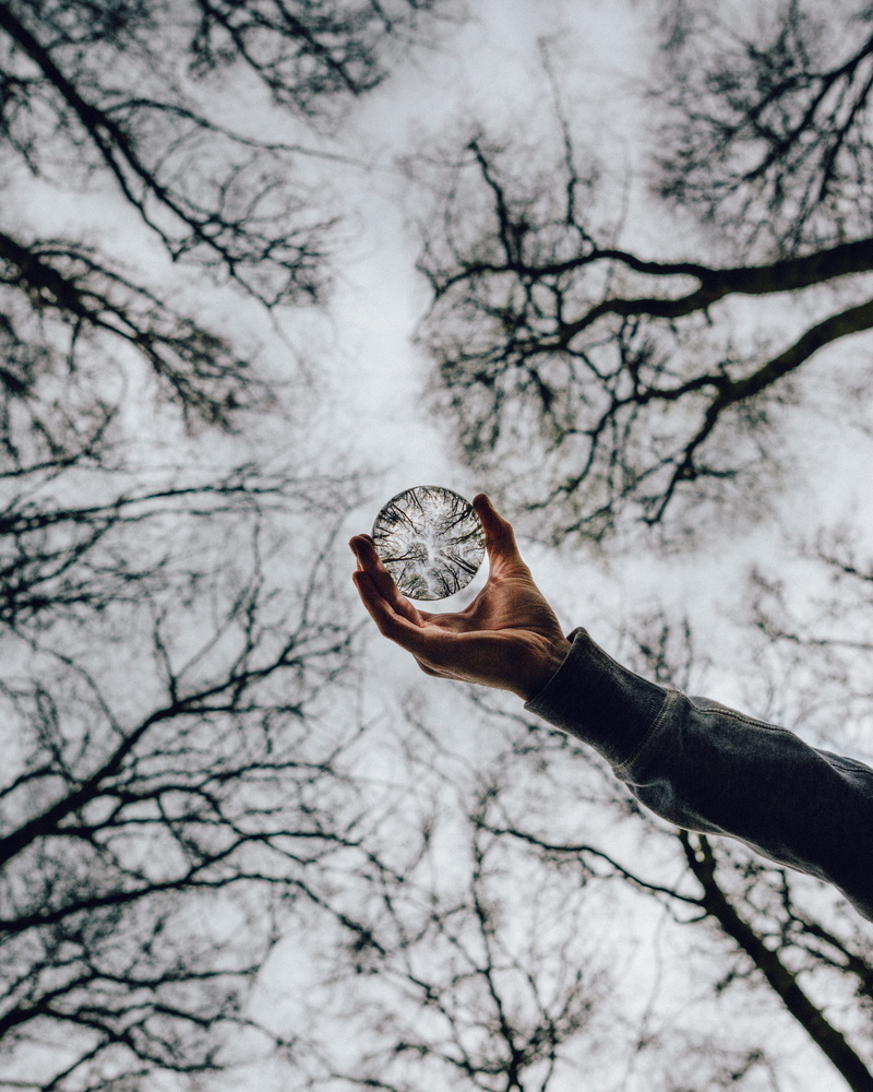 hand, person, branch, human hand, depth of field, adult, sphere, bare tree, finger, nature, crystal ball, photo, blur, day, tree, sky, low angle photography