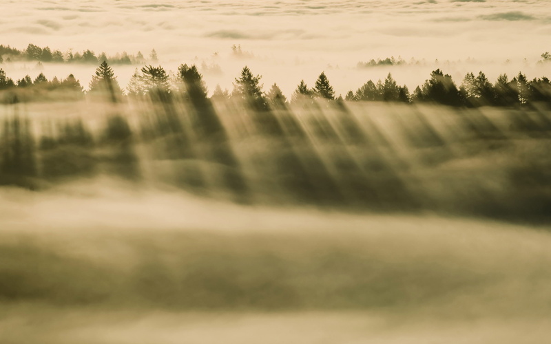hazy, idyllic, environment, land, landscape, plant, outdoors, water, 4K, scenics - nature, tranquil scene, beauty in nature, tranquility, os x mavericks