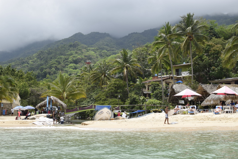 plant, outdoors, land, waterfront, 5K, water, mexico, people, tree, group of people, day, cloudy, tropical climate, fog, men, real people, palm tree, nature