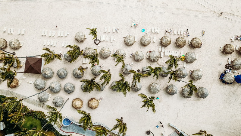 invertebrate, summer, food, view, animal, beach, photo, chaise lounge, choice, rest, brown, healthcare and medicine, warm, dominican republic, sand, nature