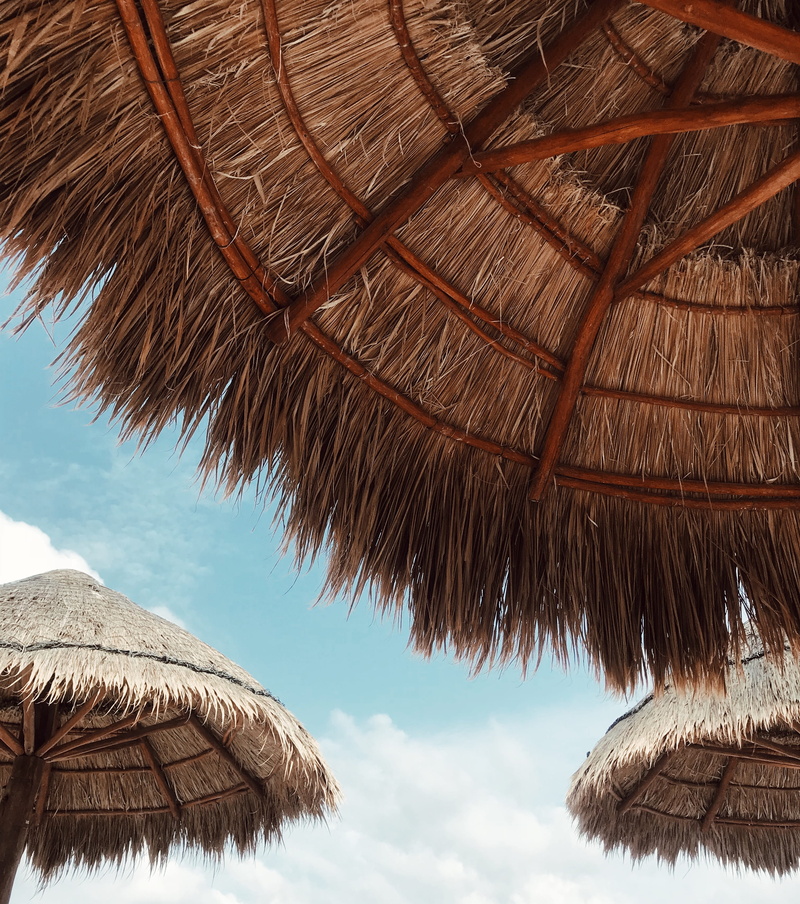 tropical climate, palm, plant, roof, tropical, protection, sea, cloud - sky, 2K, brown, low angle view, tree, thatched, no people, nature, tiki, parasol