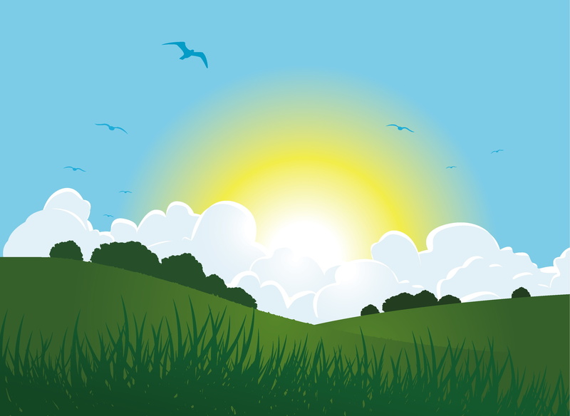 grass, clear sky, bright, flying, vertebrate, beauty in nature, nature, 2K, birds, outdoors, flock of birds, clouds, vector art, tranquility, group of animals
