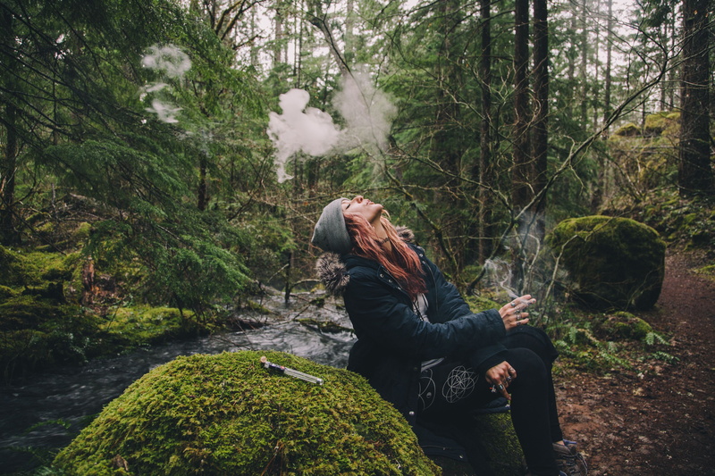 cannabis, weed, 420, 4K, marijuana