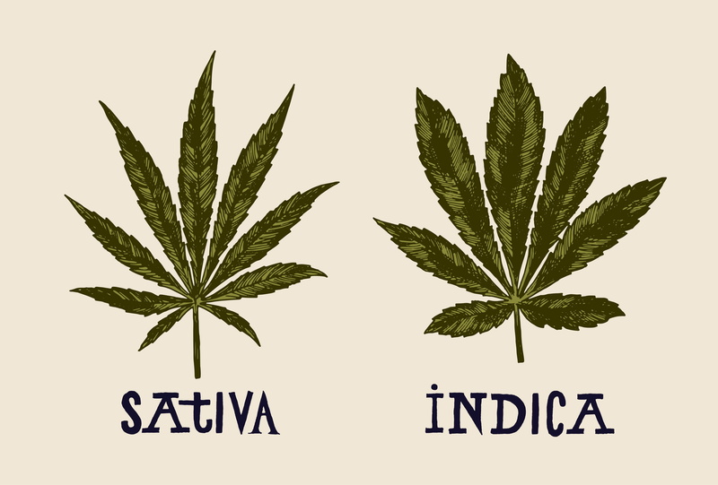 cannabis, weed, marijuana, 5K, 420