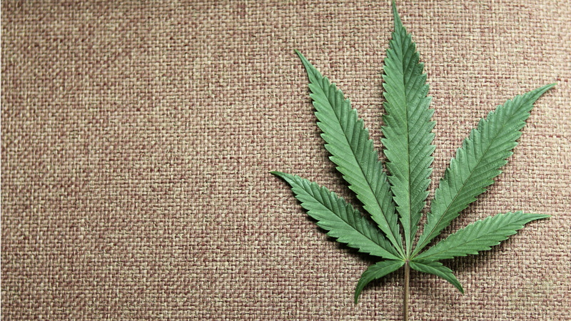 2K, weed, 420, marijuana, cannabis