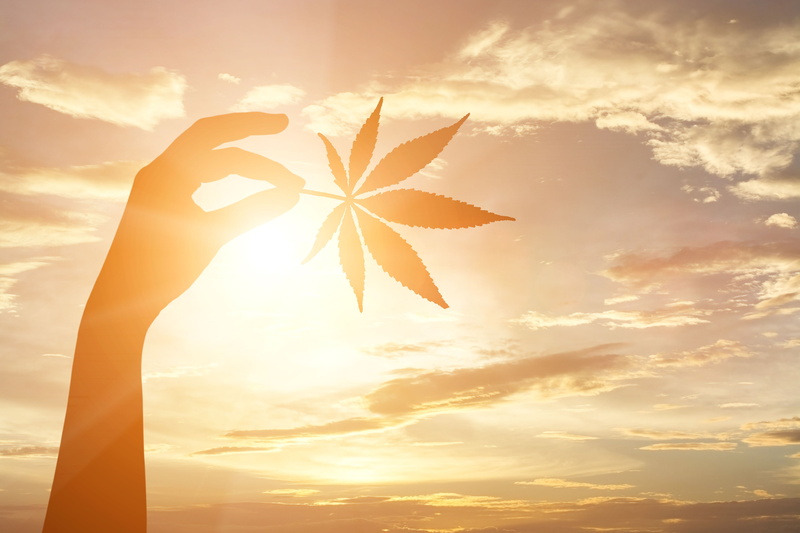 5K, 420, cannabis, marijuana, weed