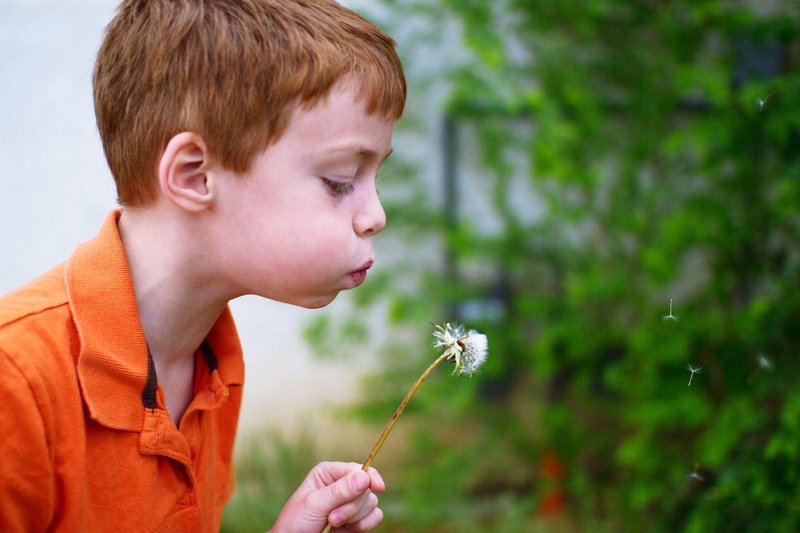 blowing, 1920x1280, boy, child, child boy, 1080P, dandelion