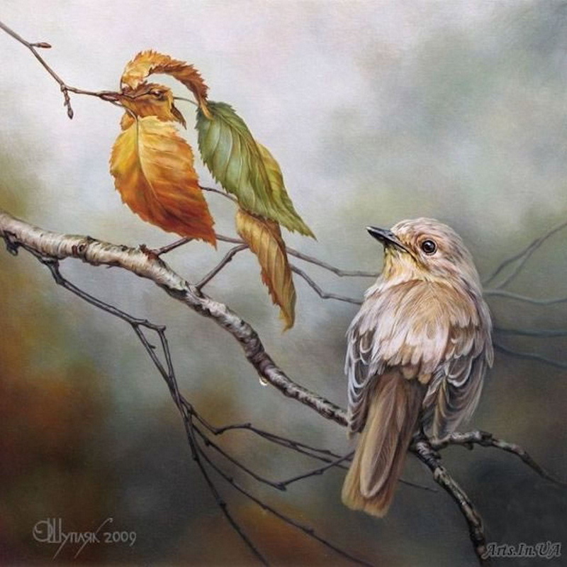 blowing, mind, 1080P