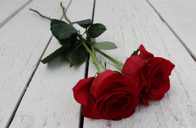 flowers, blossom, flower Head, single Flower, fragility, copy Space, couple, bouquet, wood - Material, valentines Day - Holiday, high angle view, inflorescence
