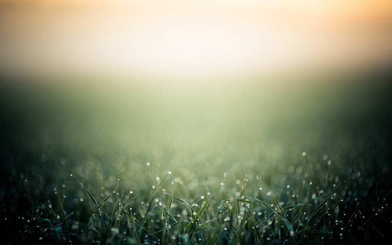 springtime, sky, green, land, tranquility, photo manipulation, defocused, freshness, tranquil scene, bright, meadow, grass, plant, outdoors, 2K, color Image