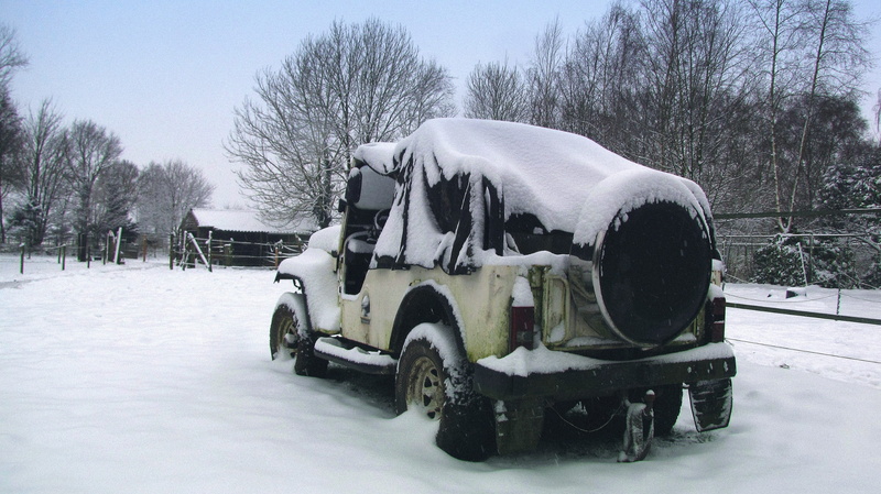 white color, car, jeep, bare tree, motor vehicle, nature, wheel, emmen, covering, day, cold temperature, winter, snow, netherlands, tree, hibernation, frozen