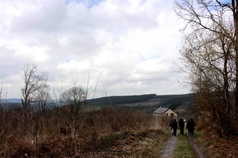 land, trees, tree, people, plant, 5K, school, adult, forest, group of people, leisure activity, day, bare tree, togetherness, women, cloud - sky, sky