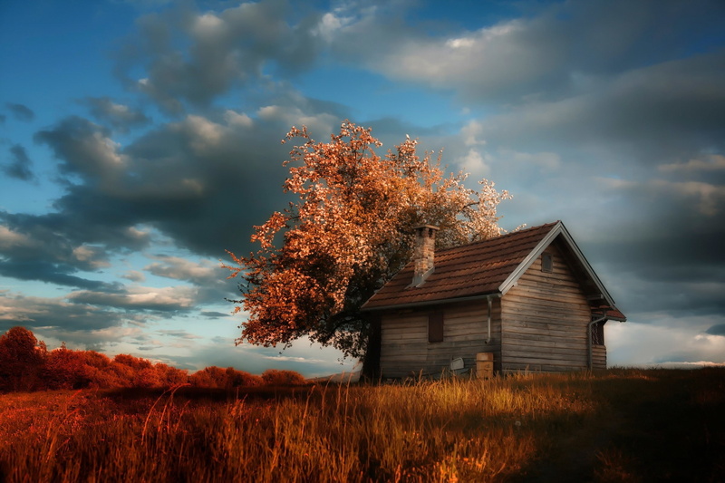 house, 2048x1365, clouds, trees, nature, 1080P, grass