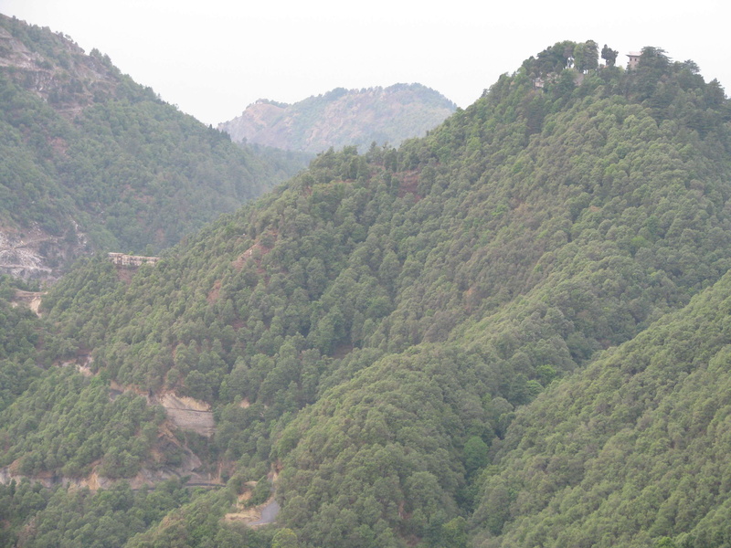 day, growth, outdoors, no people, environment, landscape, mountain range, foliage, land, mountain, tree, mussoorie, non-urban scene, idyllic, lush foliage
