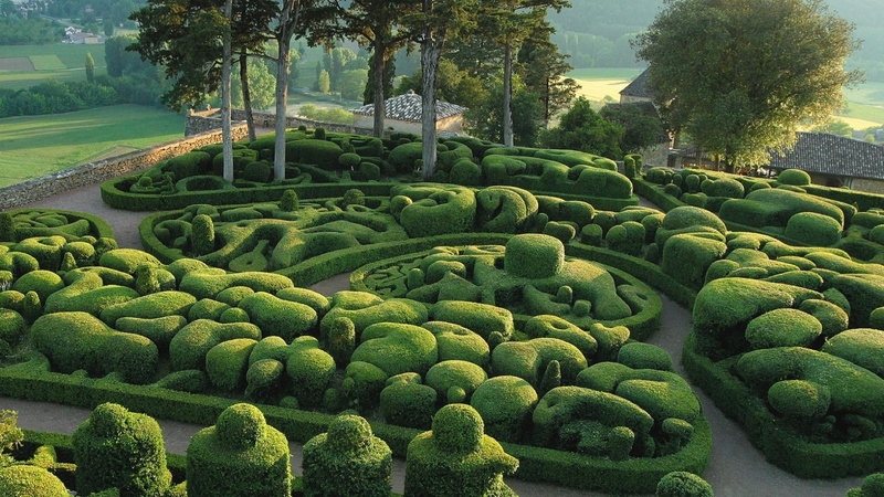 botanical garden, green color, 1080P, formal garden, mussoorie, tranquil scene, ornamental garden, india, nature, plantation, vegetation, park - man made space