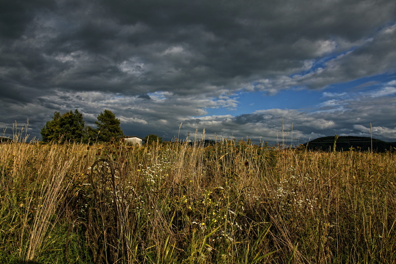 rain, sky, blue, mountain, growth, agriculture, 2K, outdoors, cereal plant, plantation, ominous, meadow, Clouds, scenics, rural Scene, tranquil scene