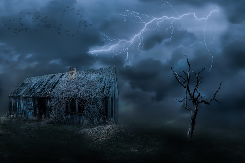 spooky, flock of birds, beauty in nature, old house, arid, landscape, dry landscape, tree, thunderstorm, built structure, dark, lapsed, outdoors, old, environment