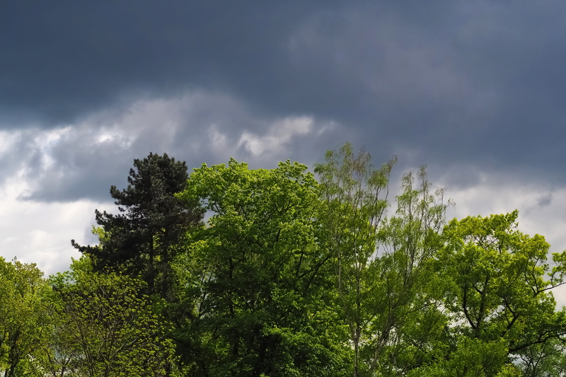no people, 4K, cloud - sky, scenics - nature, dark clouds, tranquility, tranquil scene, atmosphere, dramatic sky, covered sky, non-urban scene, overcast