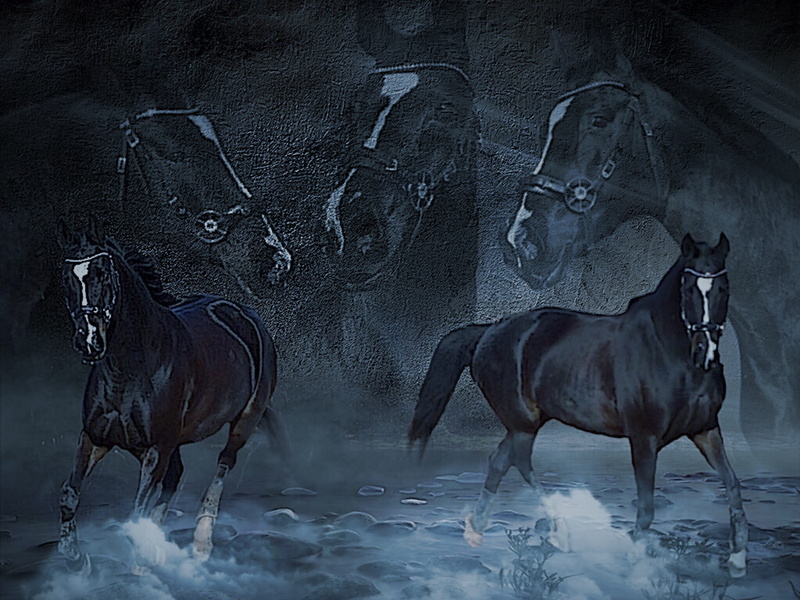 two, animal wildlife, pets, are indescribable, domestic animals, winter, nature, horse, painting, vertebrate, black color, head, indoors, animal themes