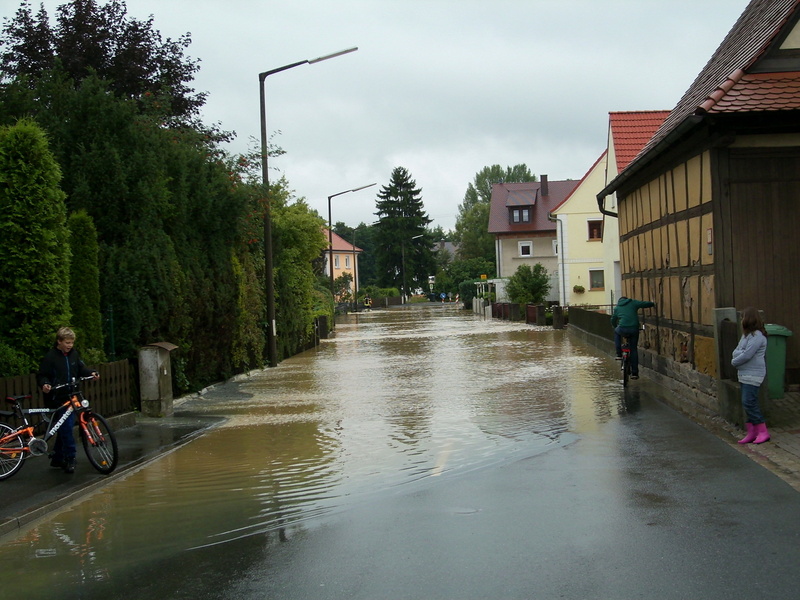 flooded, nature, street, tree, road, torrential rain, building, damage, rainy season, gosberg, 2K, destruction, transportation, water, plant, built structure