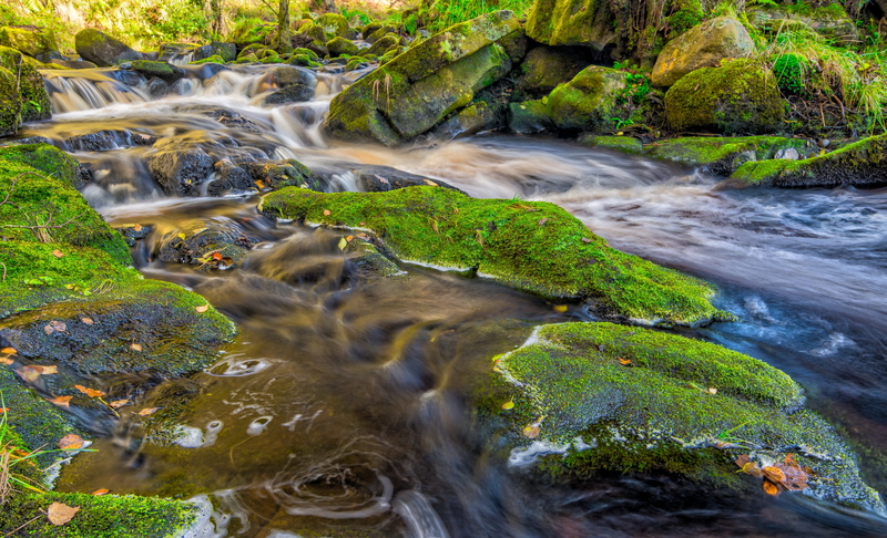 green, rock, tree, yorkshire, water, outdoors, landscape, britain, moss, autumn, land, fall, stream, england, rocks, river, erosion, no people, alone, nature