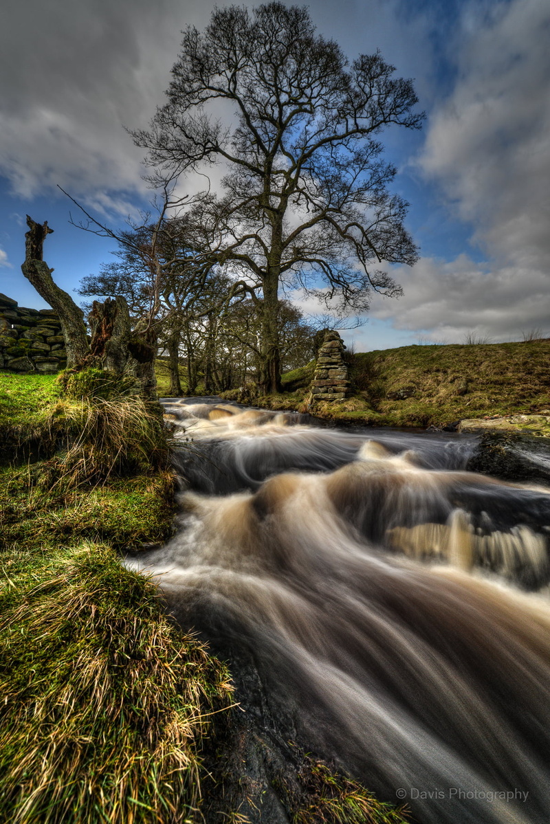 North Yorkshire, water, beauty In Nature, body of water, Long exposure, waterfall, river, outdoors, daytime, green leaf, Stream, scenics, green, body, forest