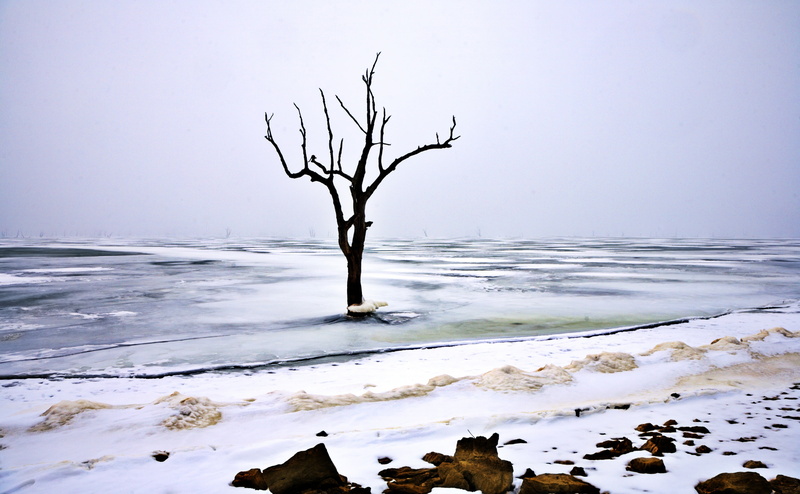 isolated, environment, tranquility, sky, no people, Landscape, bare tree, cold, outdoors, tranquil scene, day, non-urban scene, cold temperature, last