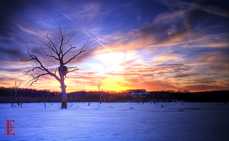 Kansas, Winter, 4K, Scenery, United States, Nature, Clinton Lake, Travel, Trees, Lawrence, Landscape, apocalypse, lake, Scene